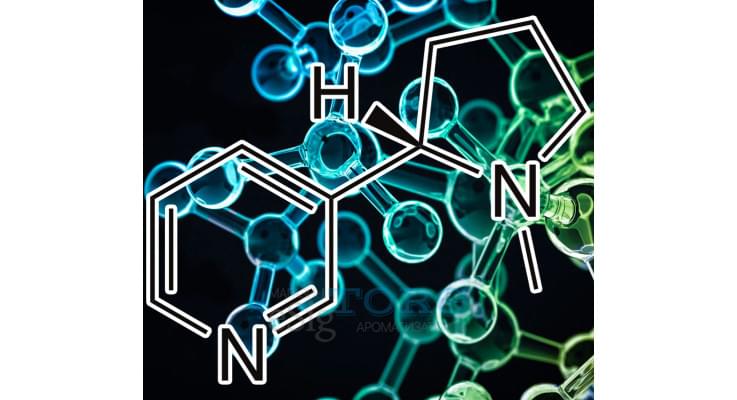 Изображение Солевая Сотка Salt 100 mg Солевая Сотка Salt 100 mg